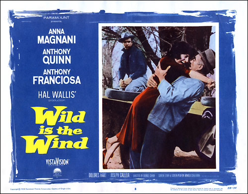 Wild Is the Wind lobby card H